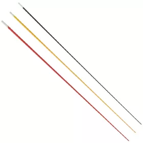 Ensemble de Scions en Verre 3X10Db 600Mm