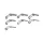 Anneau de scion Spiccgy.Umhsit Sic Match (1X4)
