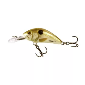 Salmo Hornet H4F PLS 4cm 3gr Flottant Wobbler