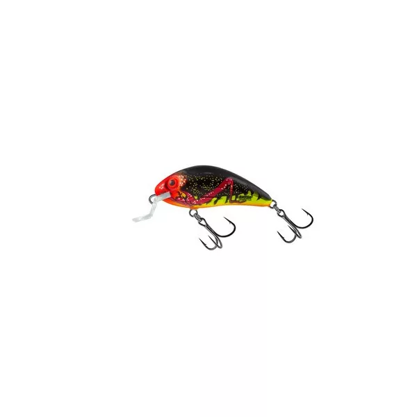 Salmo LEURRE PLONGEANT RATTLIN HORNET H4.5 FBG Leurre plongeant
