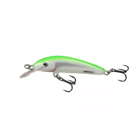 Salmo Minnow M5S LBS 5cm 5gr Leurre