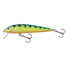 Salmo Leurre Minnow GT 60mm - 4gr