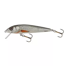 Salmo Leurre Minnow D 70mm - 8gr