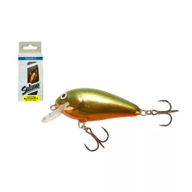 Salmo Butcher BR5F GMG 5cm 5gr Leurre