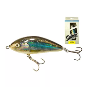 Salmo Fatso F10F HLS 10cm 48gr Leurre