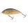 Salmo Leurre Fatso Leurre RR 100mm - 52gr