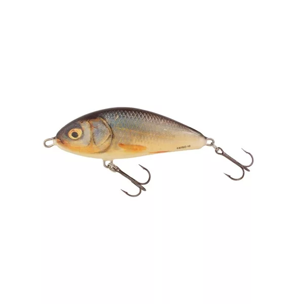 Salmo Leurre Fatso Leurre RR 100mm - 52gr