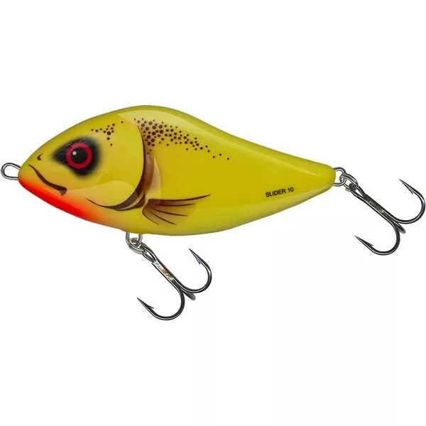 Salmo Slider SD5F RT 5cm 6gr Leurre Flottant