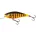 Salmo leurres