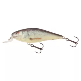 Salmo Leurre Executor Leurre RD 50mm - 5gr