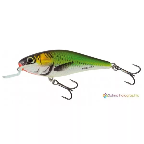 Salmo Leurre Executor Leurre EF 70mm - 8gr