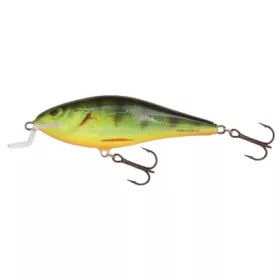 Salmo Leurre Executor Leurre RHP 70mm - 8gr