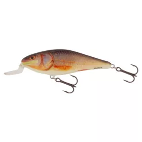 Salmo Leurre Executor Leurre RR 70mm - 8gr