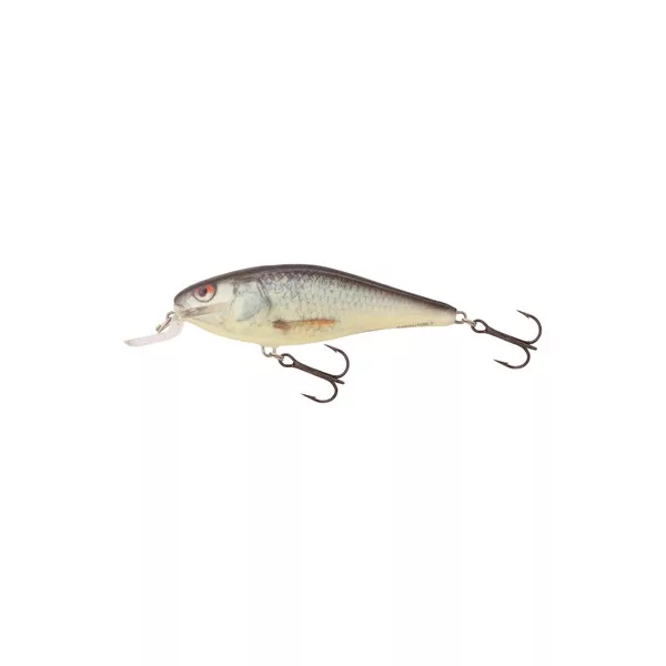 Salmo Leurre Executor Leurre RD 70mm - 8gr
