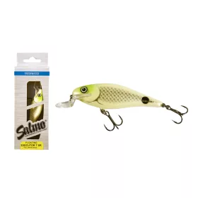 Salmo IEX7SR Executor FWS 7cm 8gr Leurre flottant