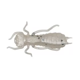 Wizard LARVA COL. 001 6PCS/BAG Leurre souple