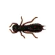 Wizard LARVA COL. 003 6PCS/BAG Leurre souple