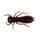 Wizard LARVA COL. 005 6PCS/BAG Leurre souple