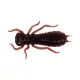 Wizard LARVA COL. 005 6PCS/BAG Leurre souple