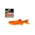 Wizard Roach Orange 7cm Leurre souple 3db