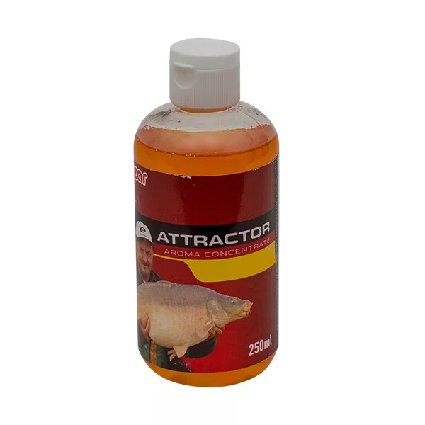 Benzar Mix Concentré aromatique Panettone 250Ml