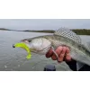 Nevis Impulse Shad 7,5cm 3,05gr 5pcs/paquet 5 couleurs Leurre en plastique