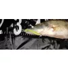 Reiva Zander Power Shad 8cm 3,18gr 5 pièces/paquet (Vert Fluo) Leurre souple en plastique