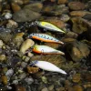 Reiva Long Minnow Ayu 7cm Leurre