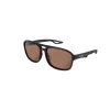 Avid SeeThru AV Classic Lunettes de soleil polarisées Verres marron