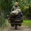 Veste polaire sherpa Avid Arctic-Series M