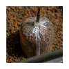 Avid Transfer Solid PVA Bags L Sac PVA 80x180mm