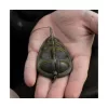 Avid Carp Method Feeder Panier L 2,5Oz