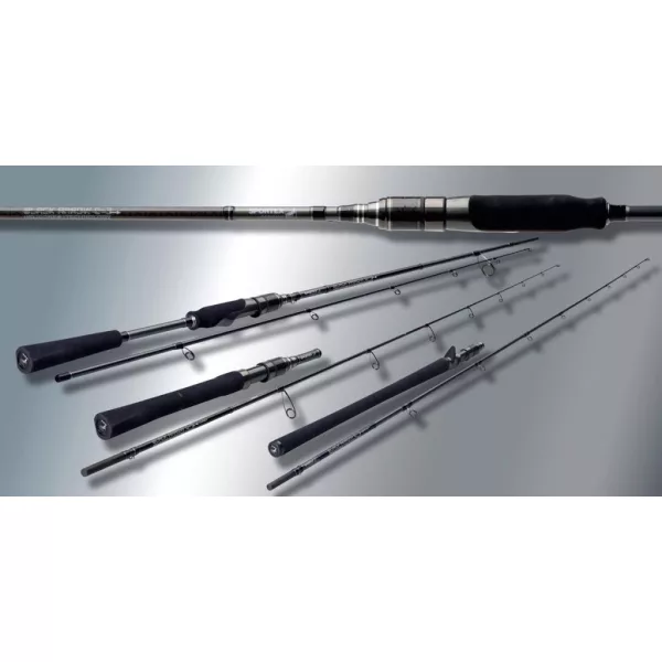 Canne à lancer Sportex Black Arrow G-3 Baitcast 2,55m 100gr 2 Brins Casting