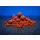 BaitBait Ébredő Erő 22mm Bouillette Soluble Fortement Épicée Édition Limitée 1kg