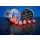 BaitBait Ébredő Erő 10mm Fluo Pop Up 20gr