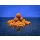 BaitBait Légiós 24mm Tartósított Bojli 1kg