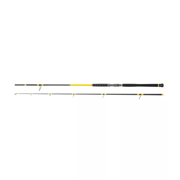 Black Cat Freestyle Pro Spin 50-180gr 2,70m Canne à Silure 2 Brins
