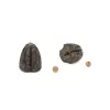 Fox Removable Flying Back Weights 10g (5 par paquet) Plomb de ligne