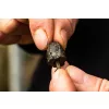 Fox Removable Flying Back Weights 10g (5 par paquet) Plomb de ligne