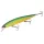 Major Craft Ceana Jerkbait 110SPS Shallow 11cm 16gr #008 Mat Tiger Leurre flottant