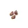 Carp Zoom Imitation d'escargot Pop-Up Spéciale Marron 10 pcs