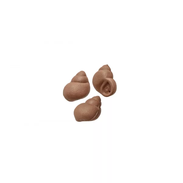 Carp Zoom Imitation d'escargot Pop-Up Spéciale Marron 10 pcs