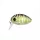 Predator Z PZ UL Bug wobbler, 3,2 cm, 3,5 g, noir, vert, flottant