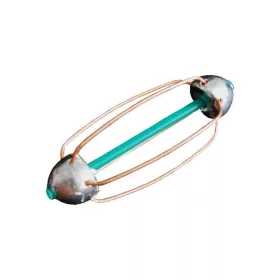 Carp Zoom 30gr Cage feeder nervurée 2 pcs