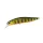 Duo Realis Jerkbait 100SP 10cm 14,5gr ASA3146 Perche Dorée Leurre flottant