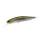 Duo Realis Jerkbait 100SP 10cm 14,5gr DTA3345 AM Hasu Leurre Flottant