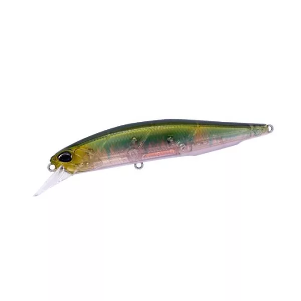 Duo Realis Jerkbait 100SP 10cm 14,5gr DTA3345 AM Hasu Leurre Flottant
