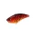 Duo Realis Apex Vibe F85 8,5cm 25gr CCC3069 Red Tiger Leurre Coulant