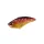 Duo Realis Apex Vibe F85 8,5cm 25gr CCC3354 Ghost Red Tiger Leurre Coulant