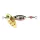 Duo Spearhead Ryuki Spinner 2cm 3,5gr PJA4068 Yamame Red Belly Cuillère tournante
